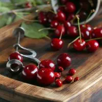 Best Cherry Pitter
