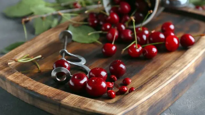 Best Cherry Pitter 2023: 5+ Detailed Reviews