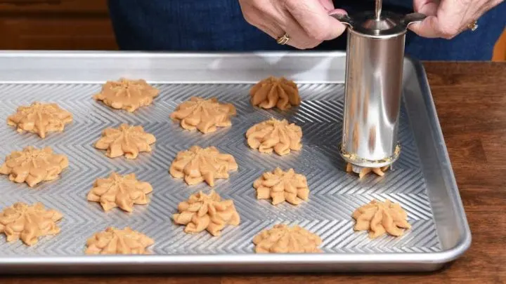 Best Cookie Press 2023: 5+ Detailed Reviews