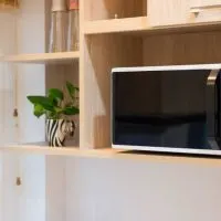Best Countertop Microwave