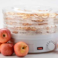 Best Food Dehydrator