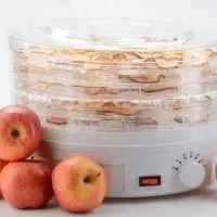 Best Food Dehydrator