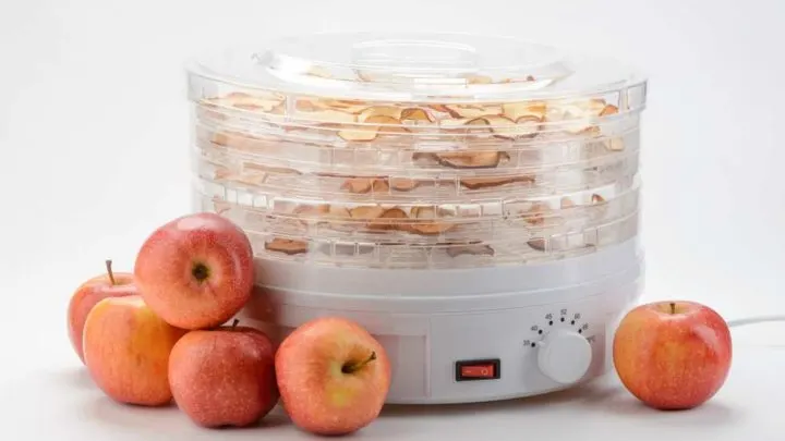 Best Food Dehydrator 2023: 5+ Detailed Reviews