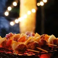 Best Grill Light