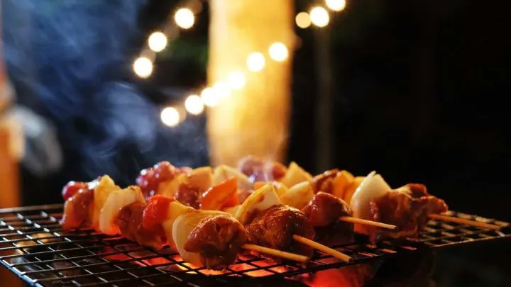 Best Grill Light 2023: 5+ Detailed Reviews