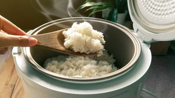 Best Japanese Rice Cooker 2023: 5+ Detailed Reviews