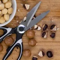 Best Kitchen Shear