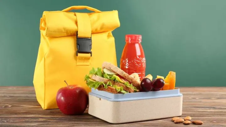 Best Meal Prep Bag 2023: 5+ Detailed Reviews