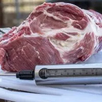 Best Meat Injector