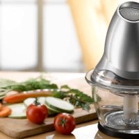 Best Mini Food Processor