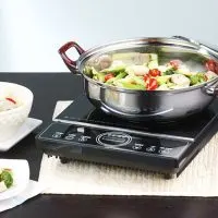 Best Portable Electric Stove