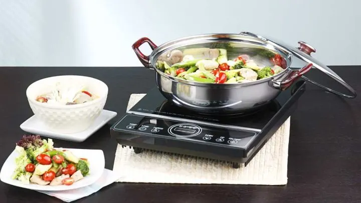 Best Portable Electric Stove 2023: 5+ Detailed Reviews