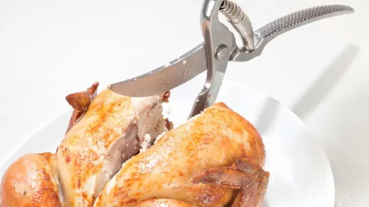 Best Poultry Shear 2023: 5+ Detailed Reviews