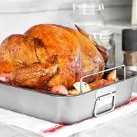 Best Roaster Oven