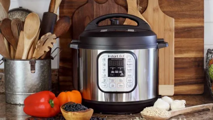 Best Stainless Steel Rice Cooker 2023: 5+ Detailed Reviews