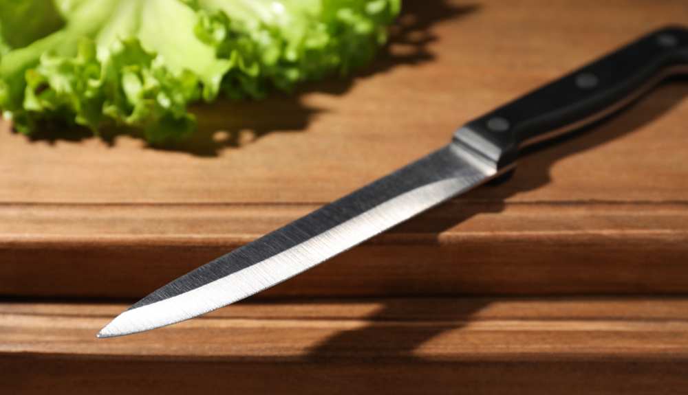 Best Utility Knife 2022 5+ Detailed Reviews The U.S Kitchen