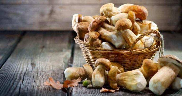 How Long Do Mushrooms Last In The Fridge? - The U.S Kitchen