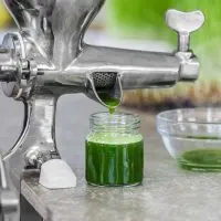 Best Wheatgrass Juicer