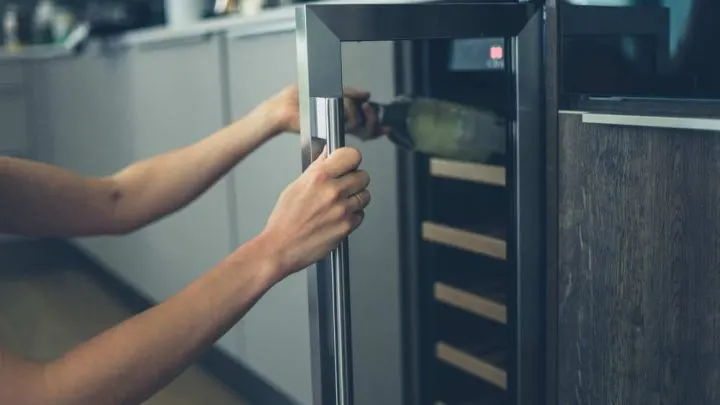 Best Wine Refrigerator 2023: 5+ Detailed Reviews