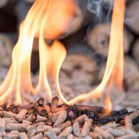 Best Wood Pellet For Smoking
