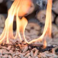 Best Wood Pellet For Smoking