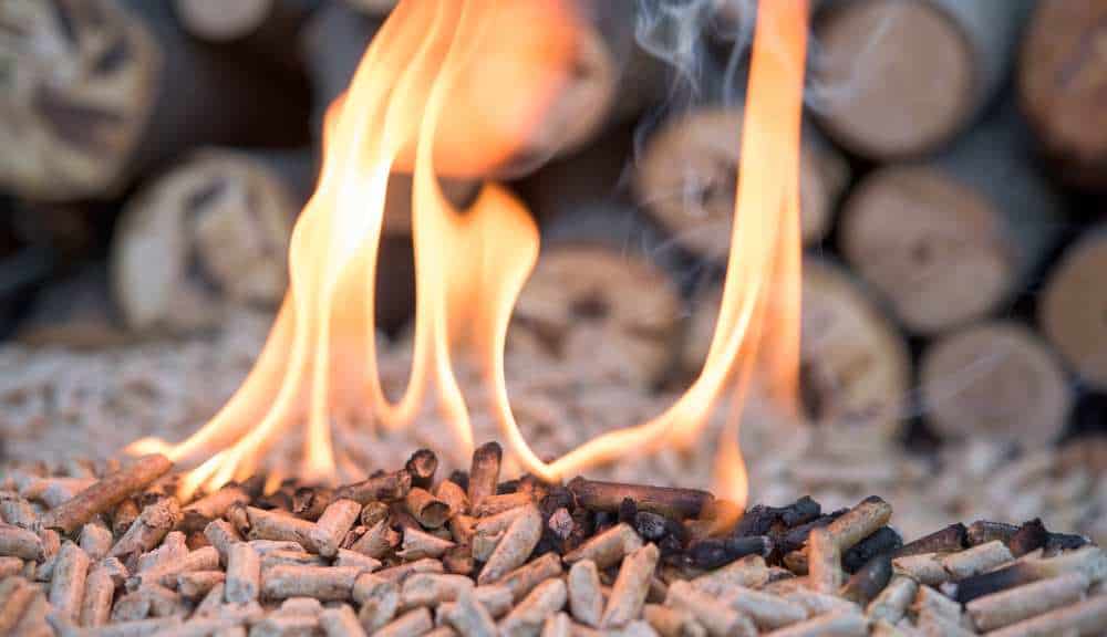 Best Wood Pellet For Smoking 2022 5+ Detailed Reviews The U.S Kitchen