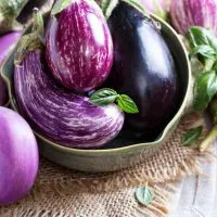 Can You Eat Eggplant On Paleo