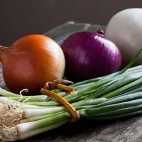 Can You Eat Onions On Paleo