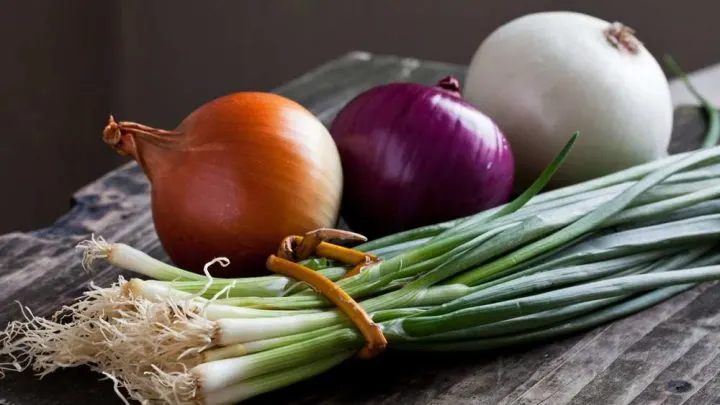 Can You Eat Onions On Paleo?