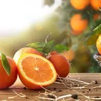 Can You Eat Oranges On Paleo