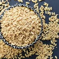 Can You Eat Quick Oats On Paleo