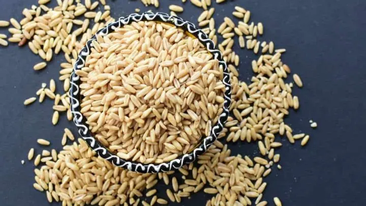 Can You Eat Quick Oats On Paleo?