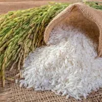 Can You Eat Rice On Paleo