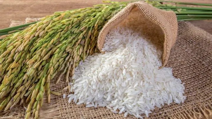 Can You Eat Rice On Paleo?