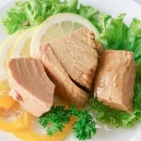 Can You Eat Tuna On Paleo