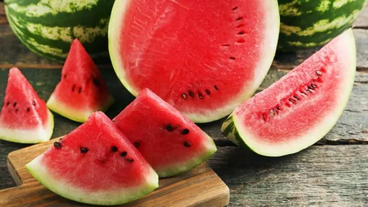 Can You Eat Watermelon On Paleo?
