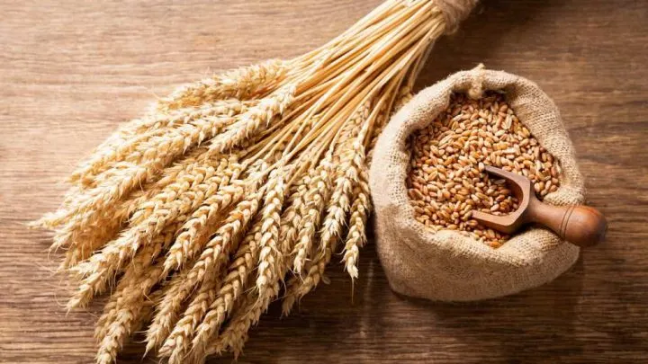 Can You Eat Wheat On A Paleo?