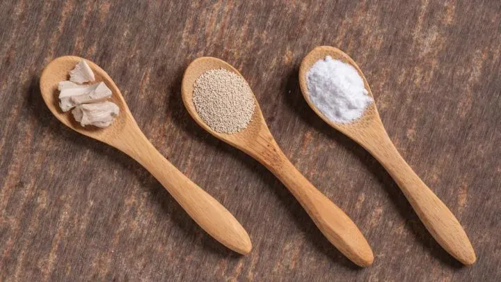 Can You Eat Yeast On Paleo?