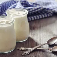 Can You Eat Yogurt On Paleo