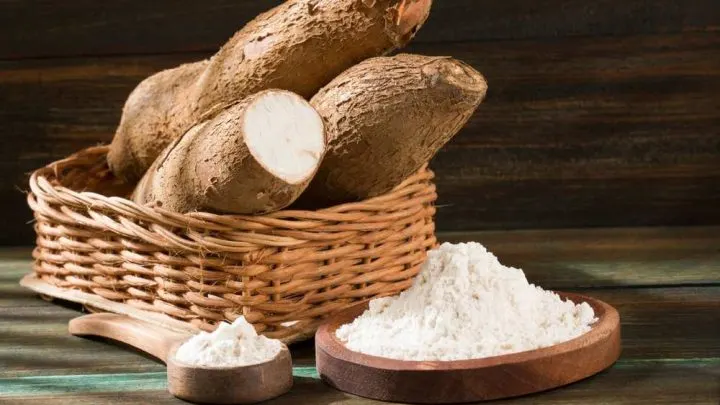 Can You Eat Yucca On Paleo?