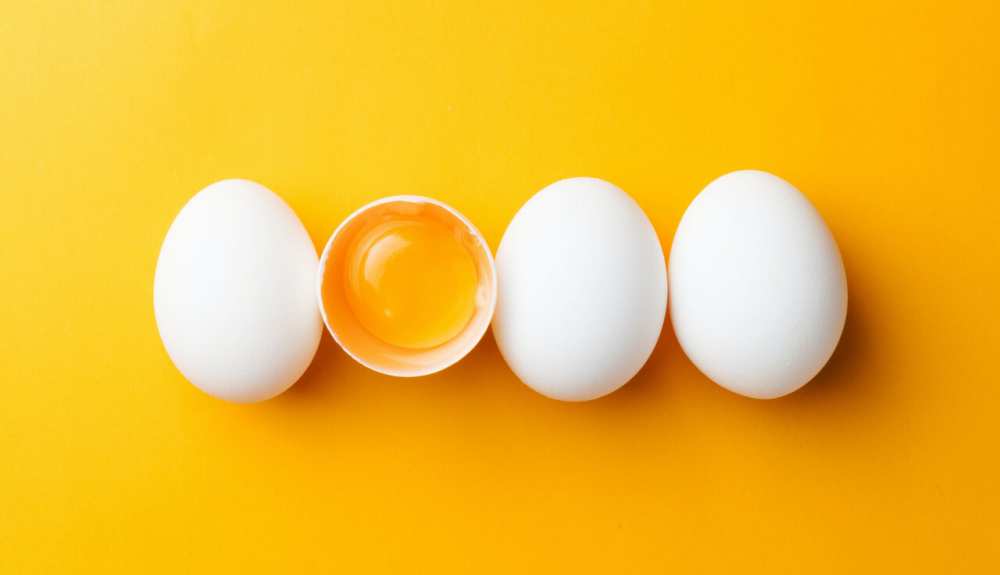 Do Eggs Go Bad? The U.S Kitchen