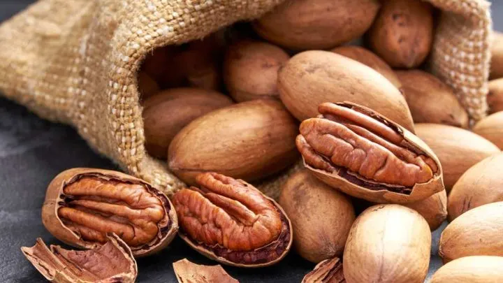 Do Pecans Go Bad?