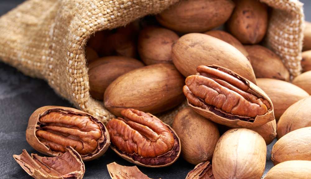 Do Pecans Go Bad? The U.S Kitchen