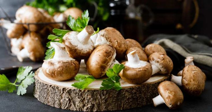 How Long Do Mushrooms Last In The Fridge? - The U.S Kitchen