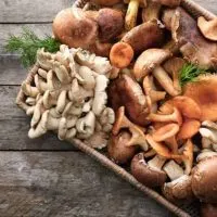 How Long Do Mushrooms Last In The Fridge