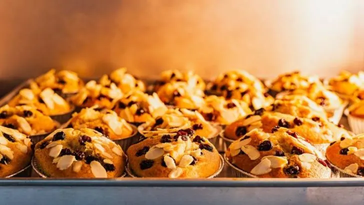 How to Reheat Biscuits?