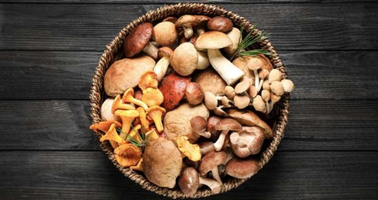 How Long Do Mushrooms Last In The Fridge? - The U.S Kitchen