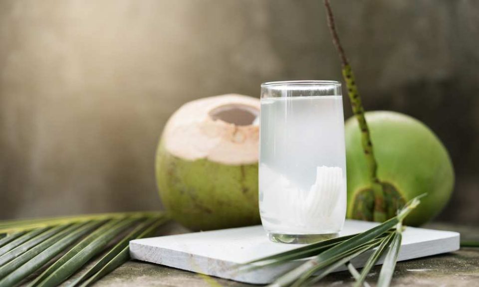 Does Coconut Water Go Bad? The U.S Kitchen
