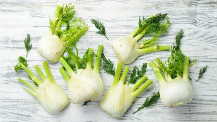 What Does Fennel Taste Like?