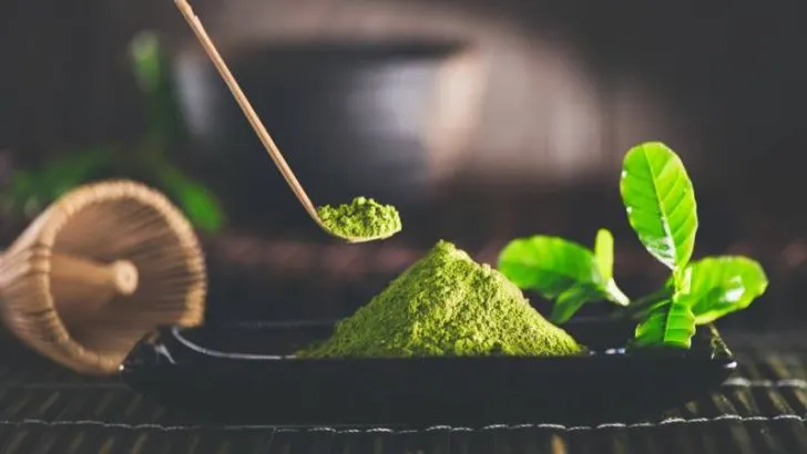 What Does Matcha Taste Like?